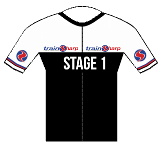 Stage 1 monthly Fee